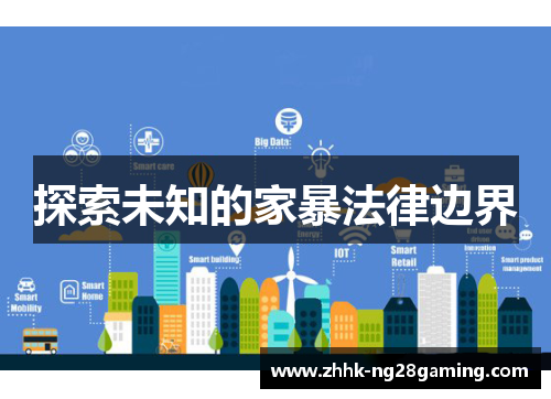 探索未知的家暴法律边界