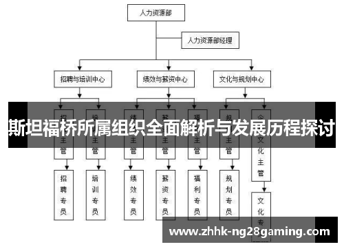 斯坦福桥所属组织全面解析与发展历程探讨