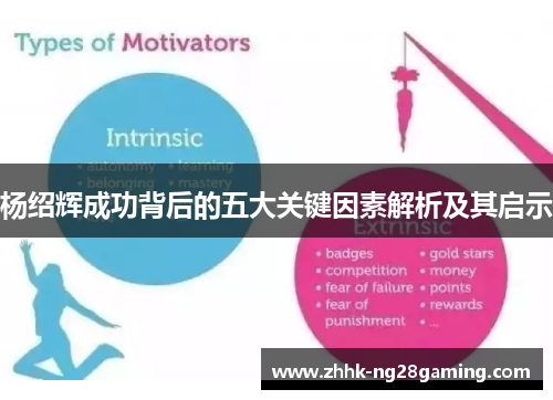 杨绍辉成功背后的五大关键因素解析及其启示