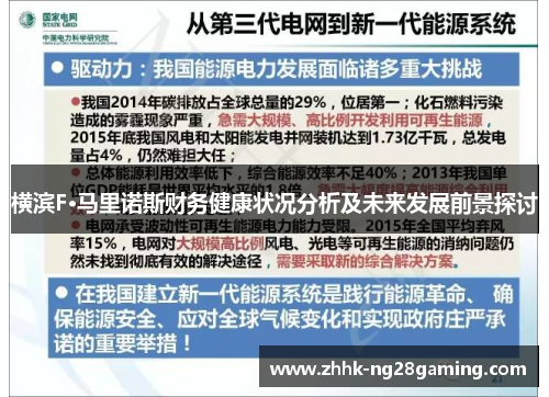 横滨F·马里诺斯财务健康状况分析及未来发展前景探讨