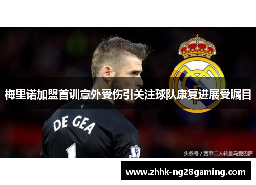 梅里诺加盟首训意外受伤引关注球队康复进展受瞩目 梅里诺加盟首训意外受伤引关注球队康复进展受瞩目