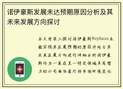 诺伊豪斯发展未达预期原因分析及其未来发展方向探讨 诺伊豪斯发展未达预期原因分析及其未来发展方向探讨
